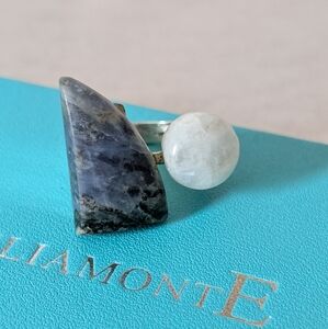 Design Blue and White Ring